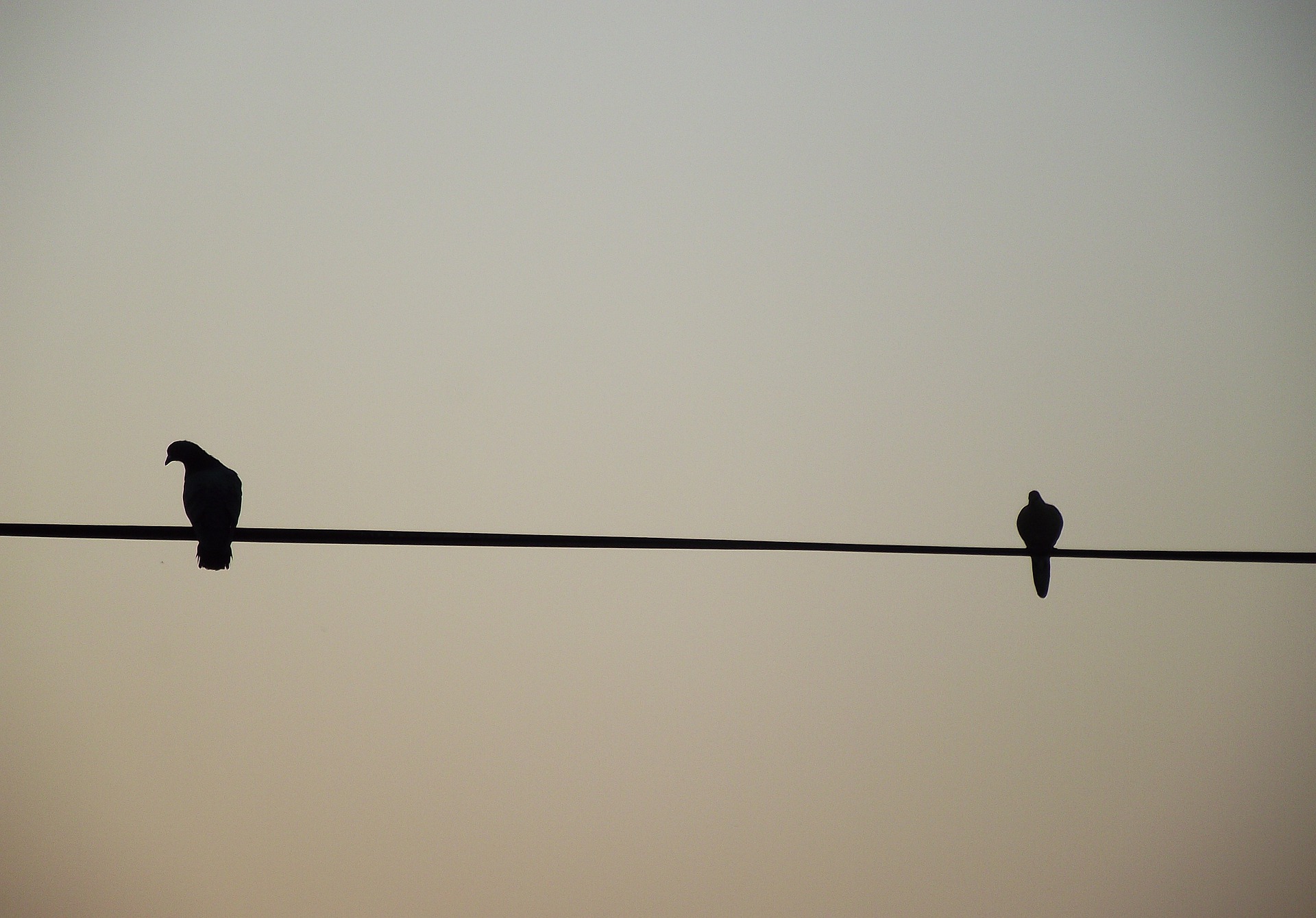 11 Jan Supporting Partners After A Suicide Attempt