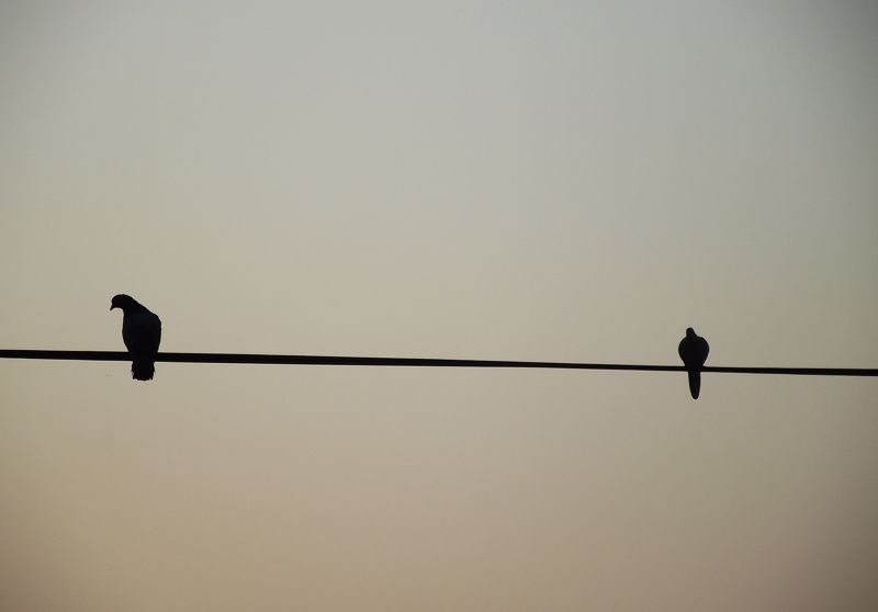 11 Jan Supporting Partners After A Suicide Attempt