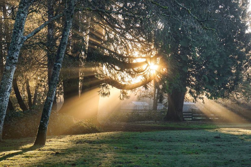 Darren Bockman Pn3z2ussiqw Unsplash