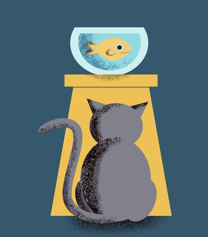 Cat G3526b7e9b 1920