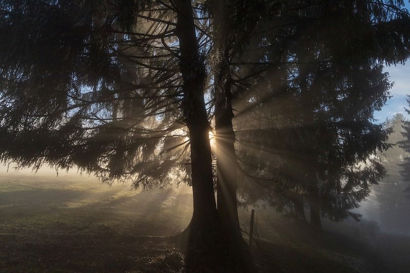 Light 3942578 1920