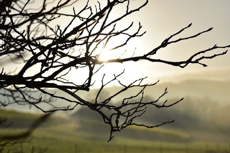 Landscape 2902151 960 720