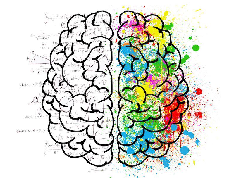 Brain 2062057 1920